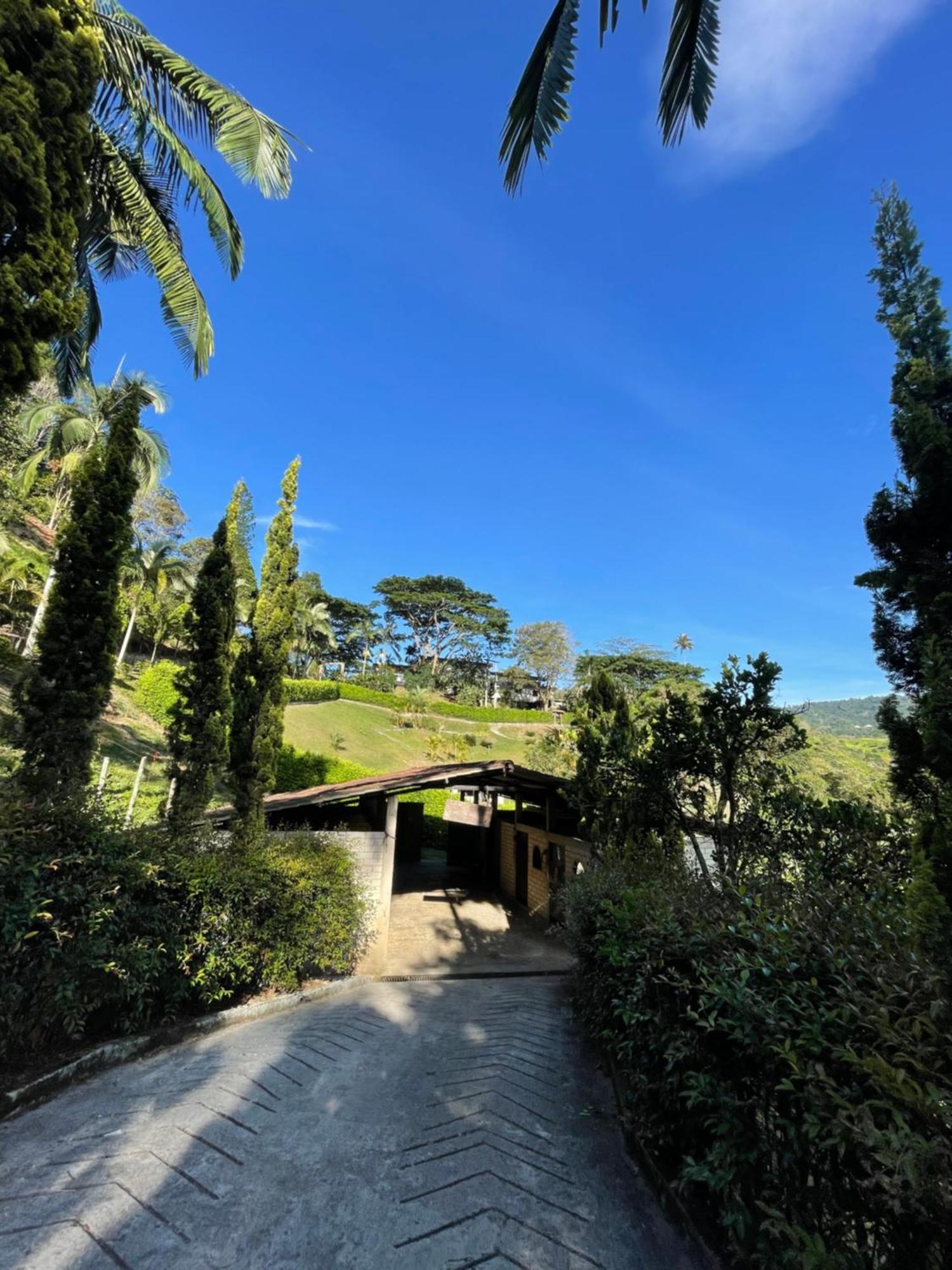 Home Boutique Natural Paradise La Vega  Dış mekan fotoğraf
