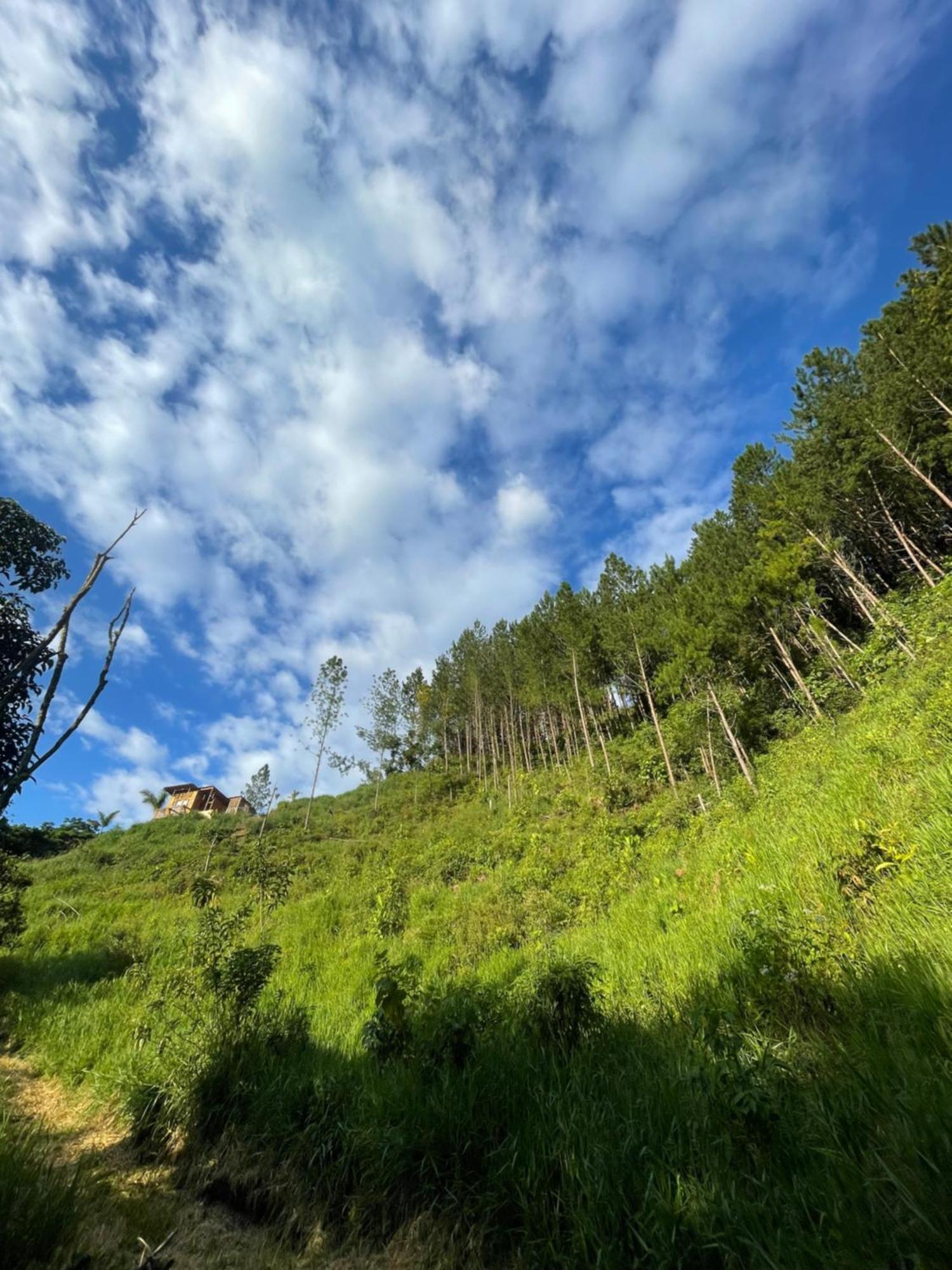 Home Boutique Natural Paradise La Vega  Dış mekan fotoğraf