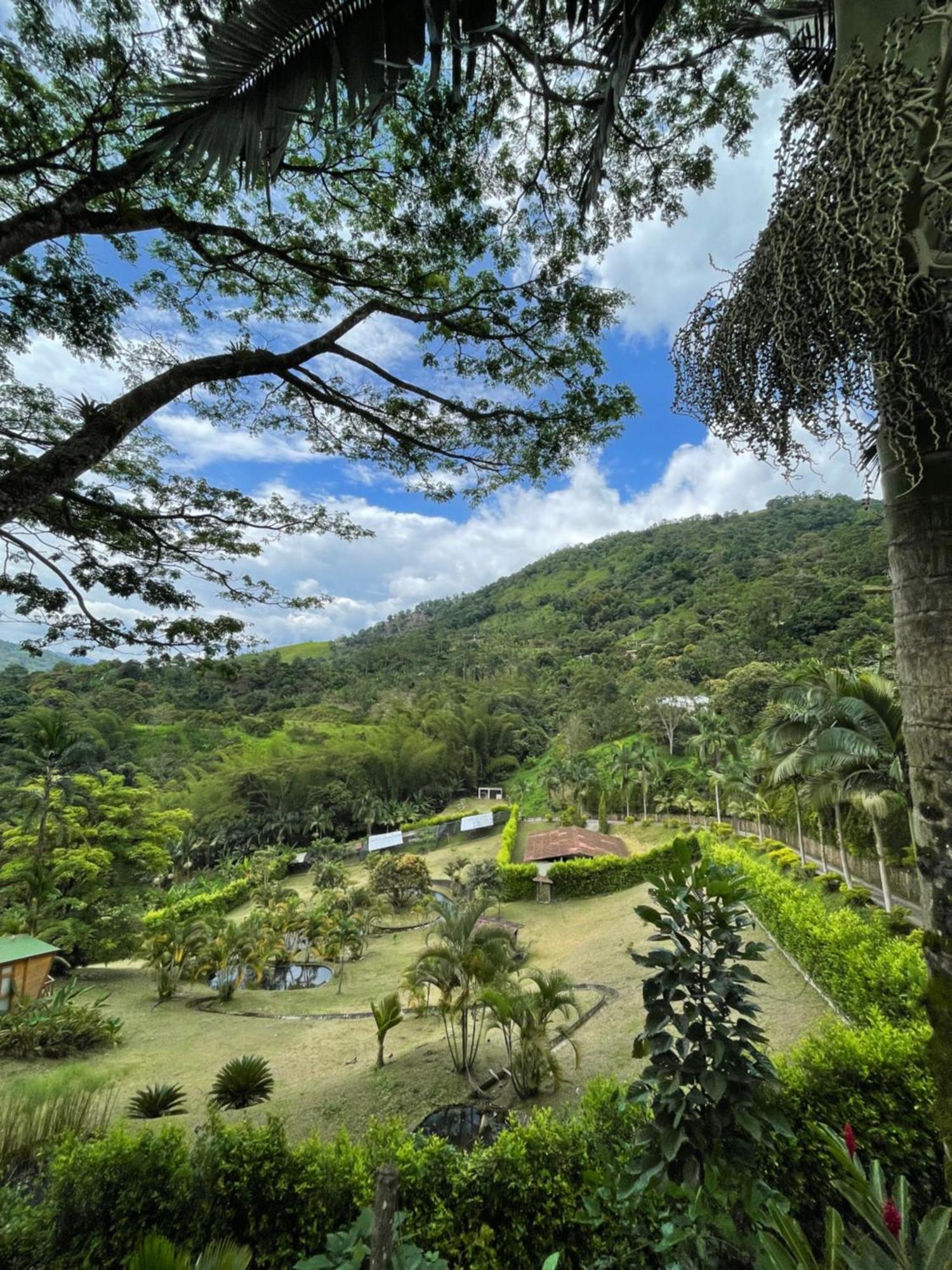 Home Boutique Natural Paradise La Vega  Dış mekan fotoğraf