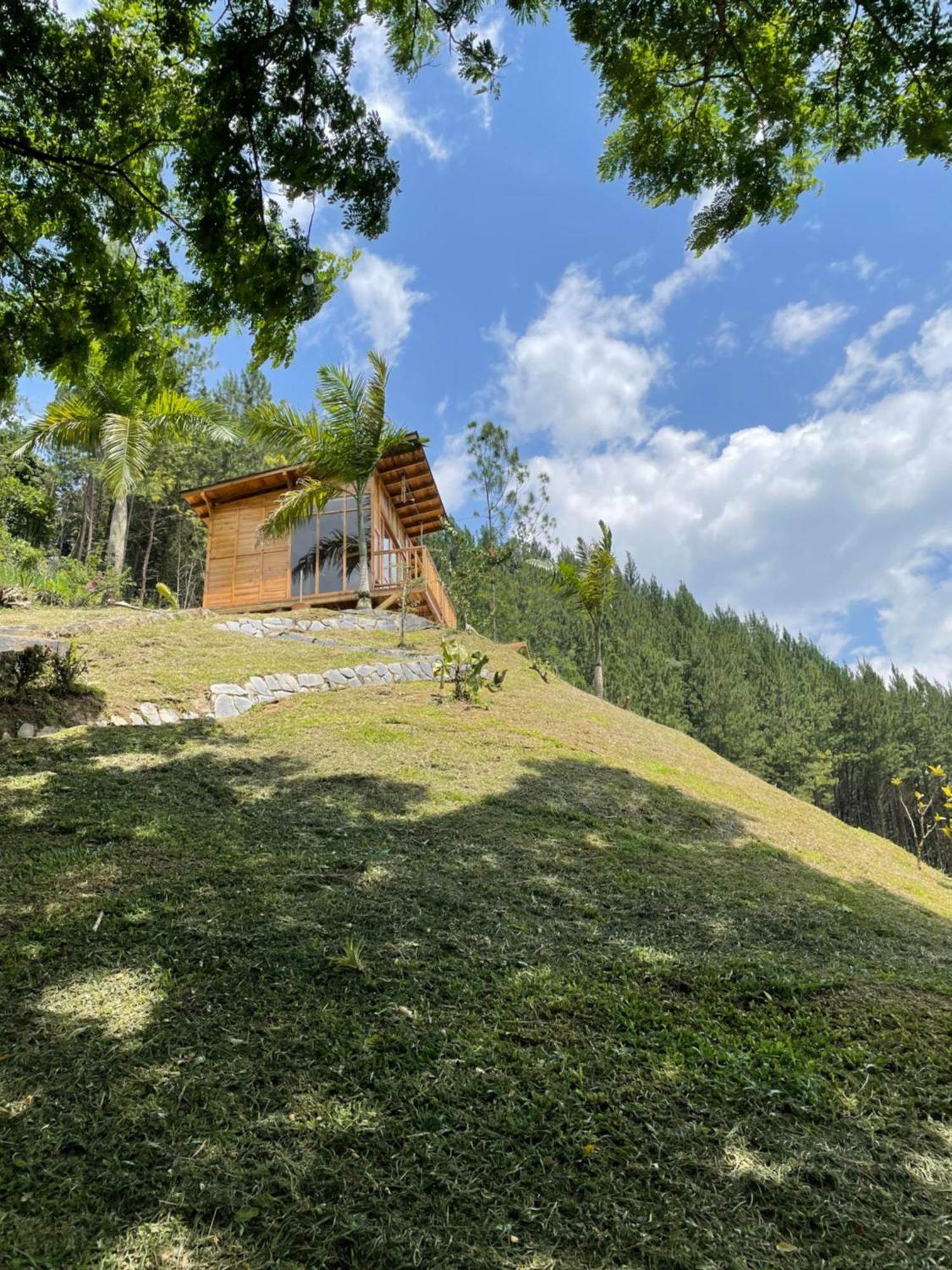 Home Boutique Natural Paradise La Vega  Dış mekan fotoğraf