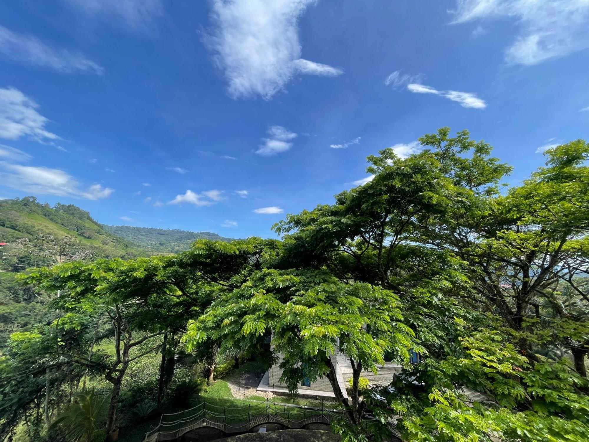 Home Boutique Natural Paradise La Vega  Dış mekan fotoğraf