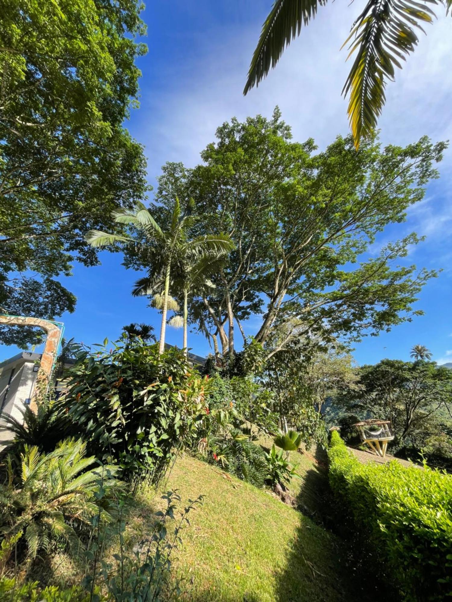 Home Boutique Natural Paradise La Vega  Dış mekan fotoğraf