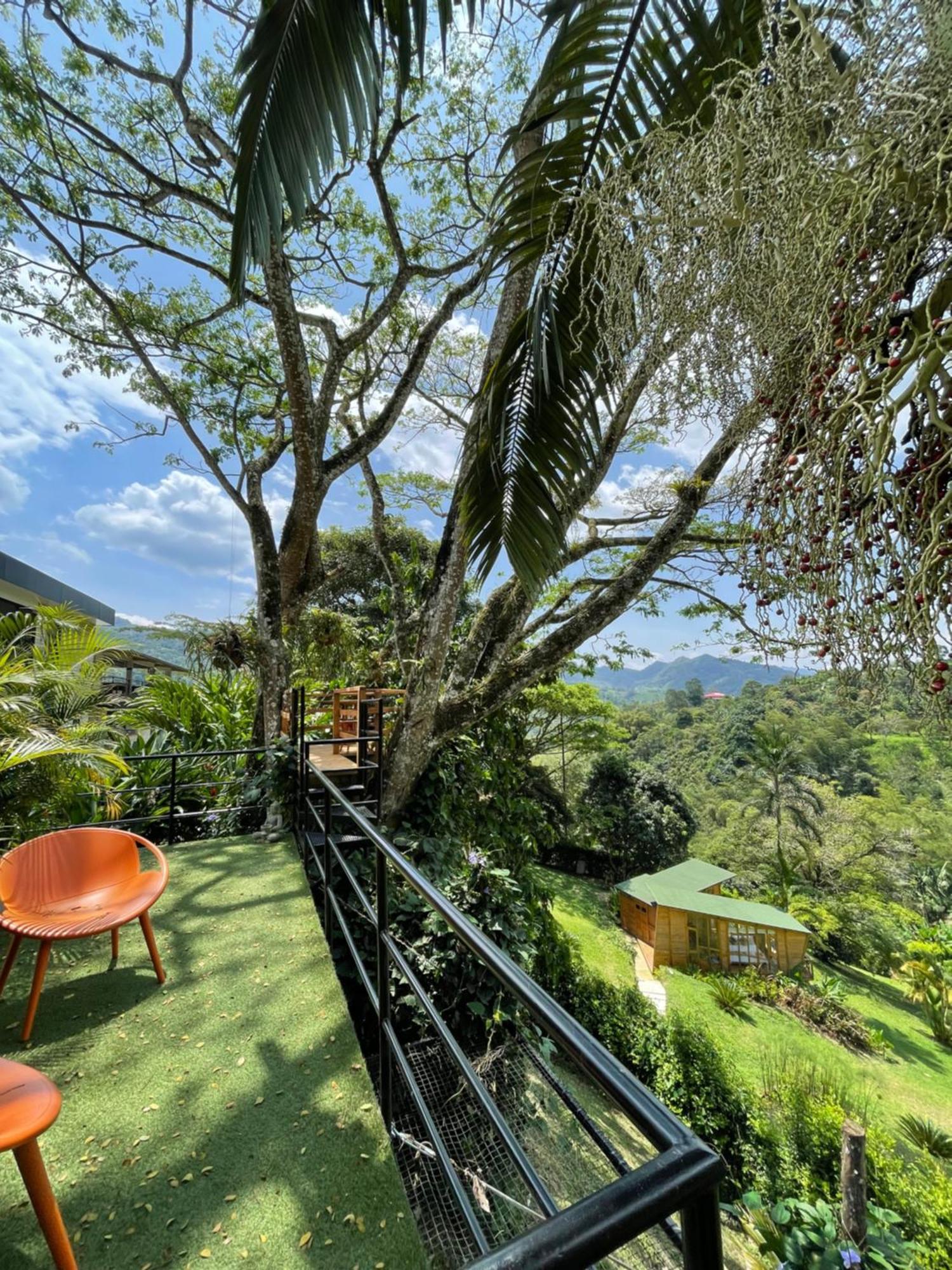 Home Boutique Natural Paradise La Vega  Dış mekan fotoğraf